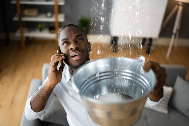 Best Sewage cleanup and water damage restoration  in Vista, CA