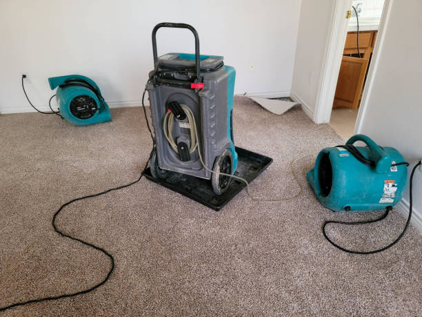 Best Local water damage restoration  in Vista, CA