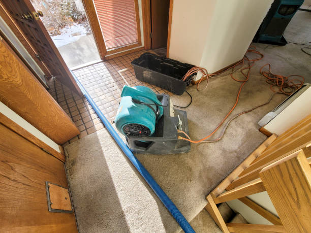 Best Ceiling water damage repair  in Vista, CA