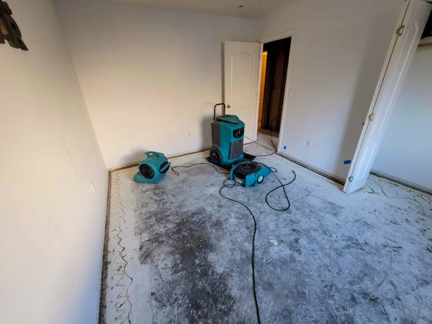Best Ceiling water damage repair  in Vista, CA