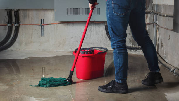 Water damage restoration insurance claims in Vista, CA