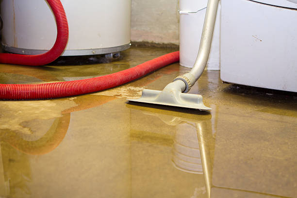 Best Sewage cleanup and water damage restoration  in Vista, CA