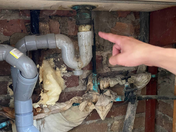 Best Commercial water damage restoration  in Vista, CA
